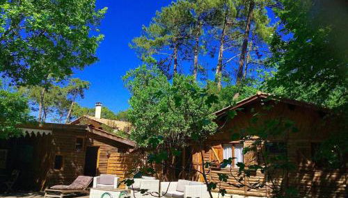 Cap Ferret Villa Grand Chalet Bois - Photo 1