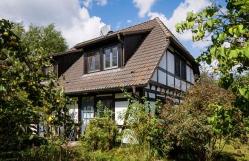 2-Raum Apartment bis 4 Pers 13 - Foto 3