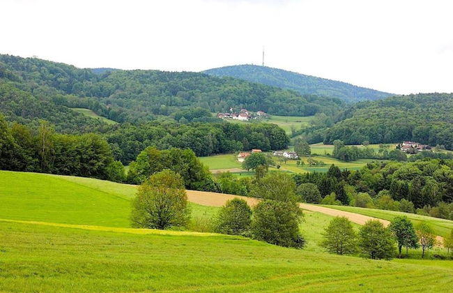 Ehemaliges Bauernhaus mit Liegewiese - Foto 27