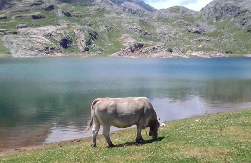 Ático LA FLOR DEL SOL - Foto 44