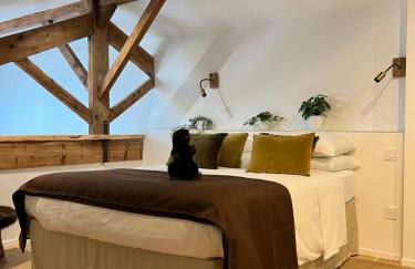 Castor Coquin Aubagne Cassis Aix en Provence - Foto 1