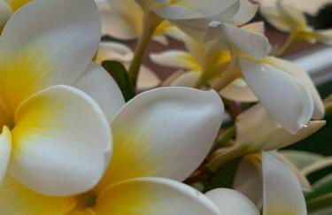 Apartamento Renovado "Hogar Las Vistas" - Foto 46