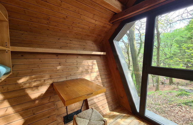 Bosco della Bella 6 - Foto 21