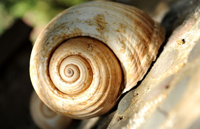 Pharos Apartments - Foto 44