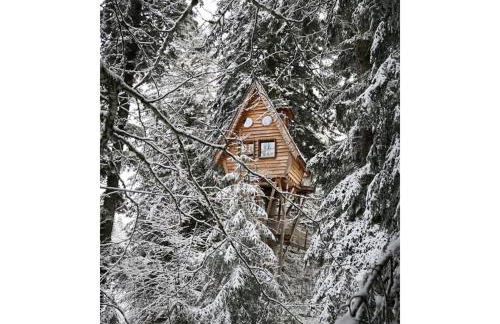 Cabanes des Volcans - Foto 20