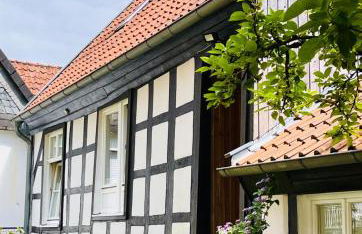 Lateinschule - Foto 6