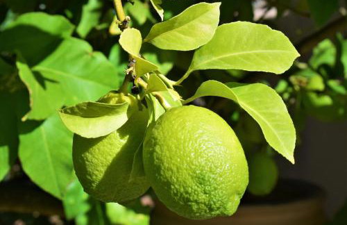 Apanemi Villa-Private Pool - Foto 55