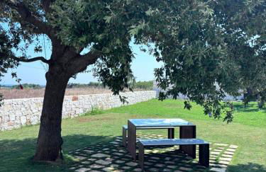 Aeneas Villa Pool & Jacuzzi al mare Torre Guaceto - Foto 31