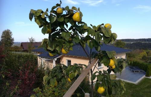 Tischneck Chalets - TraumFerienhäuser im Schwarzwald - Chalets Riva & Limone - Foto 67