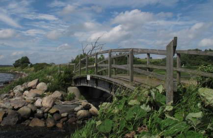 FEWO Muschel - Foto 22