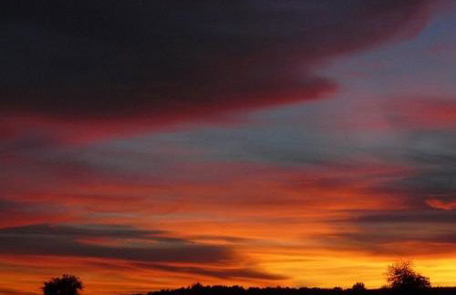 Hollerhof - Urwüchsiges Paradies - Kreativurlaub - Foto 44