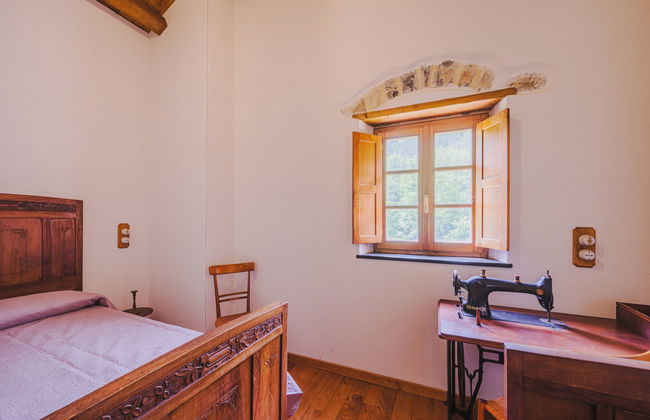 Ciliegiolo - Foto 19