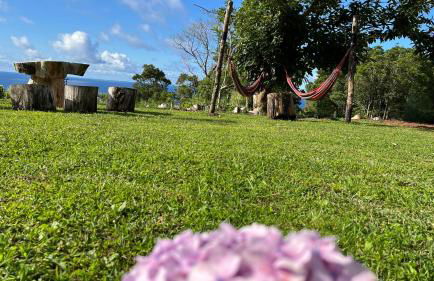 Biscoitos Top View - Photo 3