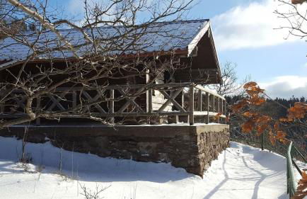Moderne Komfortwohnung im Kurort am Rennsteig - Foto 35