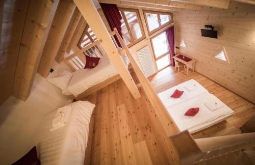 Maso Fior di Bosco - Val di Rabbi - Esercizio Rurale - Foto 9