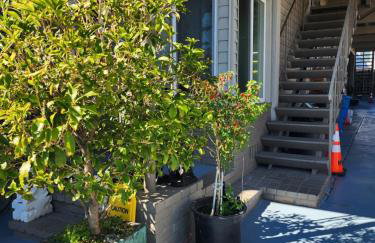 2B 1Ba 300Night 1B 1Ba 150Night - Foto 10