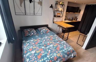 Logement indépendant "Le Figuier" TREVOUX climatisée - Foto 6