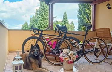 Lajatico Rentals - Terrazza sul Tramonto del Silenzio - Foto 2