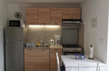 Studio Apartment Mileta - Photo 29