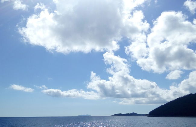 Apartmani Ančila - Foto 28