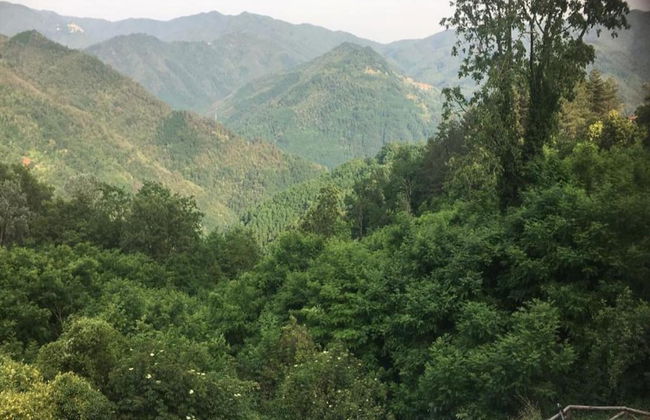 Lovely Cottage in Bagni di Lucca Amidst Fields - Photo 32