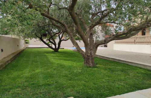 Villa Marina - Foto 11