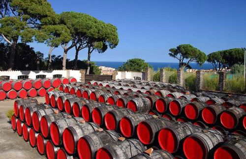Charmant séjour au cœur des vignes de Banyuls - Foto 53