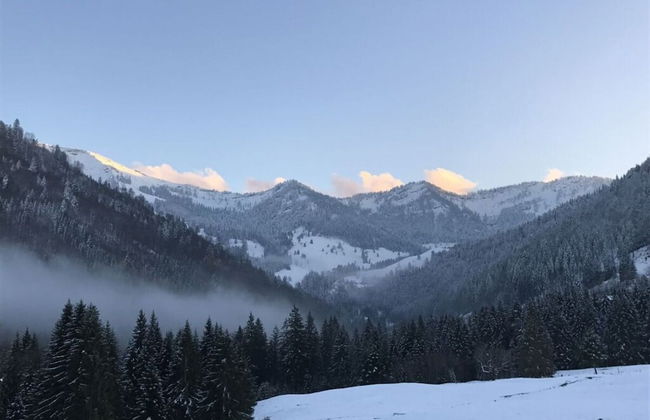 Hochgrat View in Steibis, Haus Akelei - Photo 14