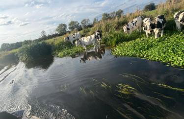 4 berth Boat house retreat in birstall, Leicester - Foto 15