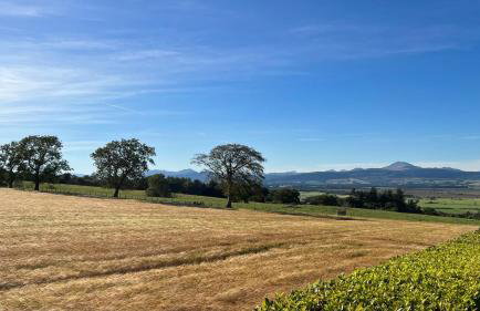 St Michael's - Photo 59