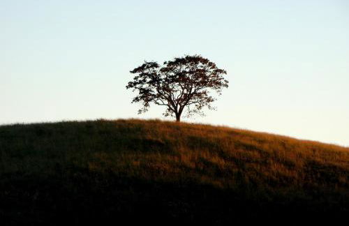 Hotel Fazenda Menino da Porteira - Foto 97