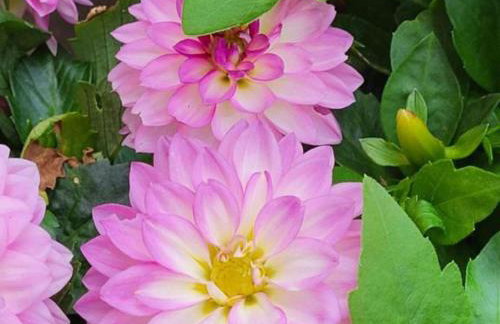 Holiday Home with Three Bedrooms and Garden - Foto 10