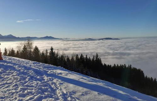 Ferienwohnung Ott - 4-Sterne - Foto 33