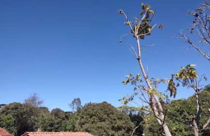 AP Temporada Monte Verde - Foto 26