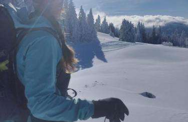 Gîte de la Diligence - Foto 33