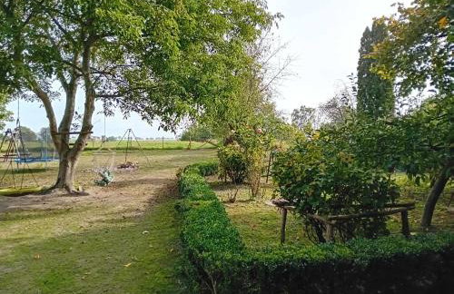 Agroturystyka Zielony Zakątek - Foto 58