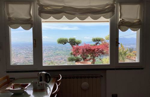 Villa l'Uliveta - Foto 43