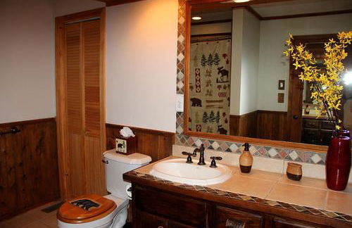 Rustic Log Cabin Rental with a Hot Tub near Asheville, North Carolina - Foto 17