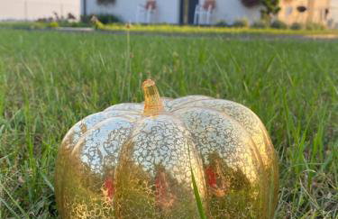 Leśny Horyzont Bałtów - Foto 20