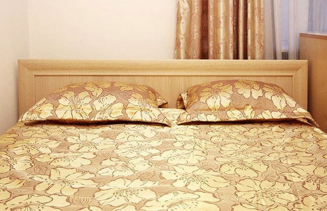 ApartLux Chistoprudnaya - Foto 6