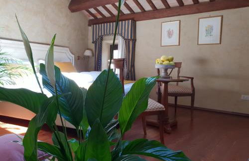 I giardini segreti di Villa Marcello Marinelli - Foto 28