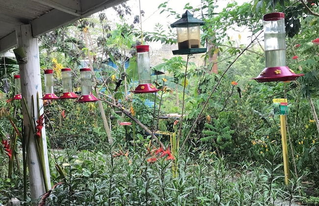 Adventure Eco Villas - Foto 23