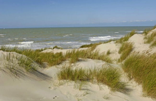 Apartment by Belgian Coast With Sun Terrace - Foto 12