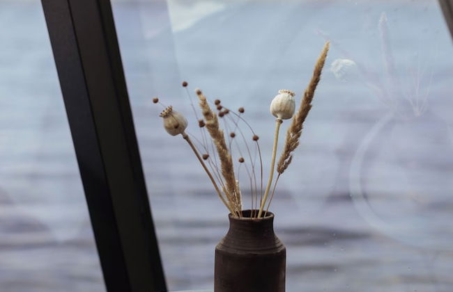 Yggdrasil Igloo Water Huts Skåne - Foto 6