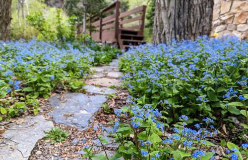 Cabin on Big Cottonwood River - Foto 10