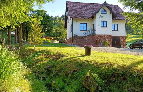 Dom nad Potokiem Sowa - Foto 8