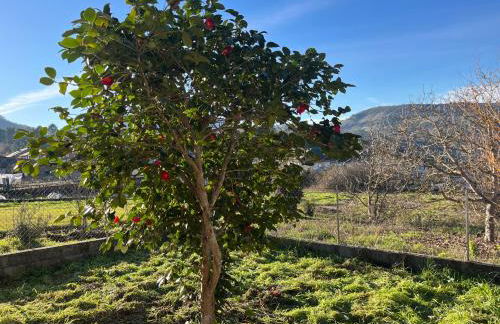 Casa Catalina - Ribeira Sacra - Foto 5