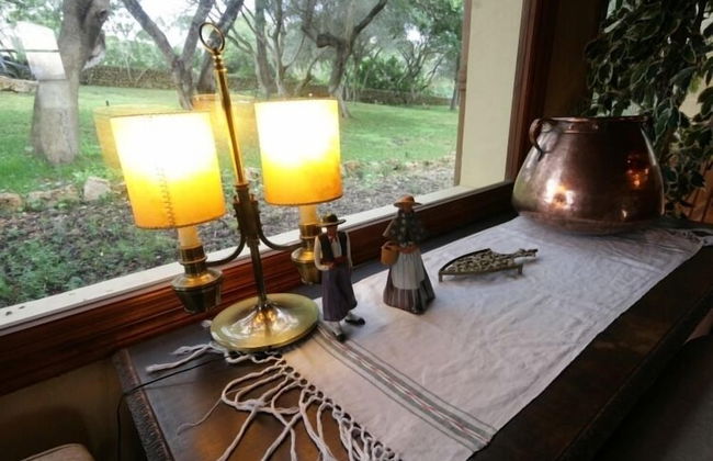 Agroturismo Es Molí de Son Maiol - Foto 19