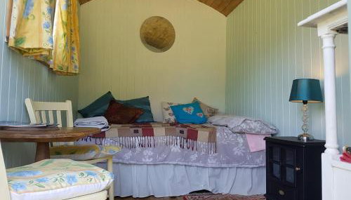 Shepherds hut Dolly wagon - Foto 4