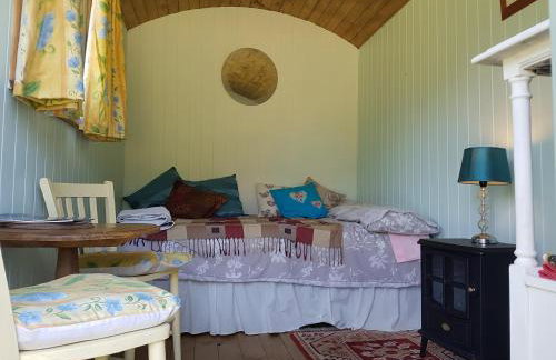 Shepherds hut Dolly wagon - Foto 4